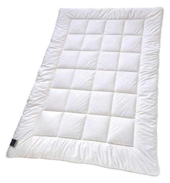 CELOROČNÁ PRIKRÝVKA, 135/200 cm, polyester Billerbeck - Prikrývky & vankúše, Online Only