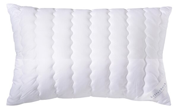 VANKÚŠ POD HLAVU, 40/80 cm Billerbeck - Prikrývky & vankúše, Online Only