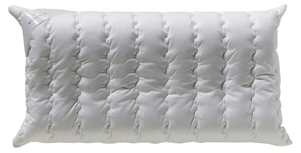 ŠIJOVÝ VANKÚŠ 40/80 cm Billerbeck - Online Only spálne, Online Only