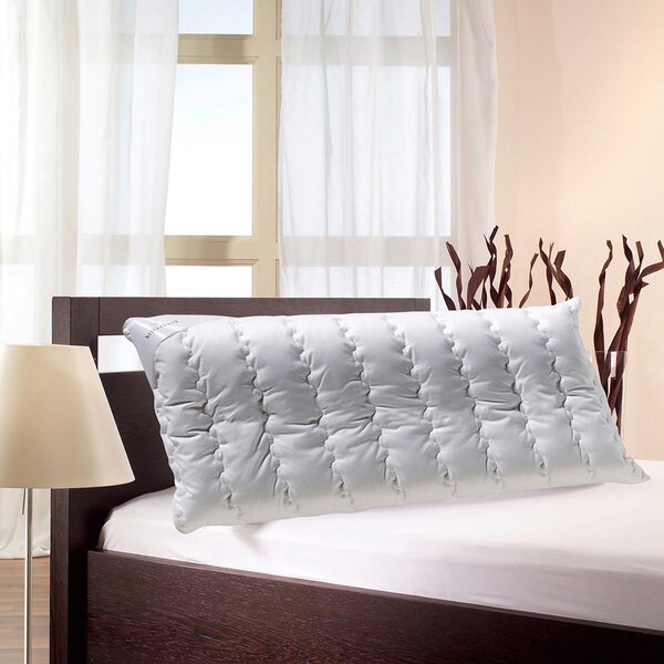 ŠIJOVÝ VANKÚŠ 40/80 cm Billerbeck - Online Only spálne, Online Only