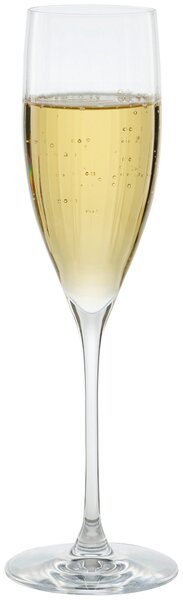 POHÁR NA SEKT Leonardo - Poháre na šampanské