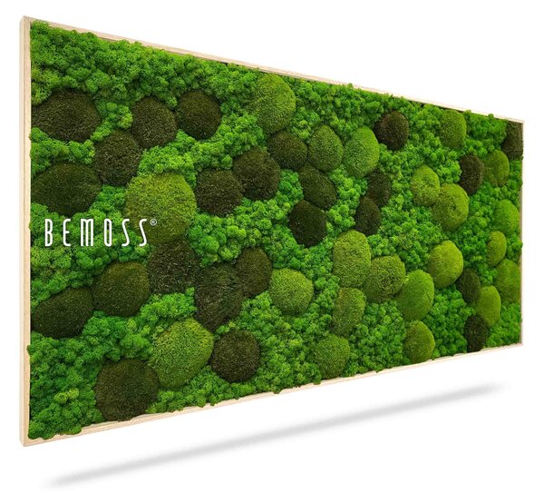 Machový obraz BEMOSS® ORTHO MONETO - 40 x 40 cm