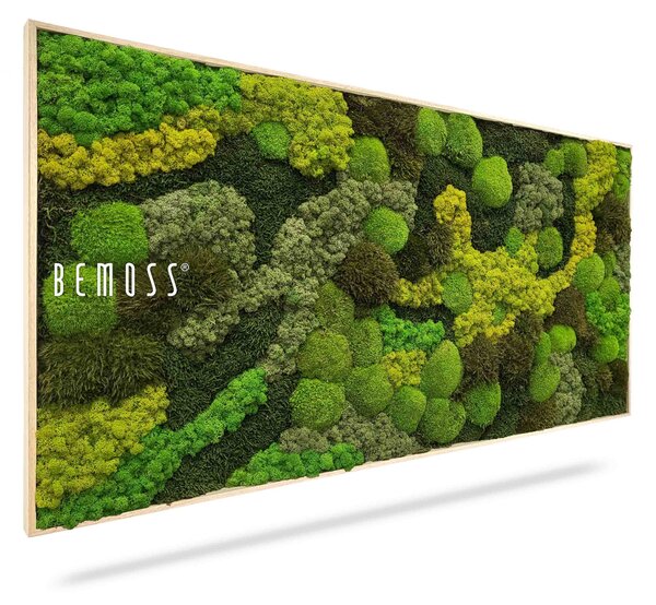 Machový obraz BEMOSS® ORTHO TELDE - 40 x 40 cm