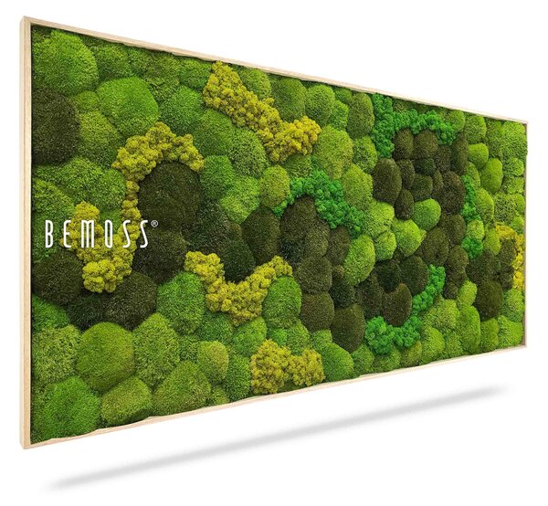 Machový obraz BOLMOSS DUO Light Anento - 40 x 40 cm