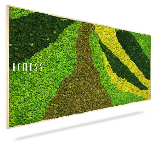 Machový obraz BEMOSS® ORTHO CARROT - 40 x 80 cm