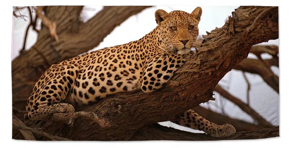 Sablio Uterák Leopard 2 - 30x50 cm