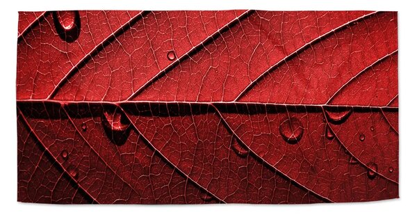 Sablio Uterák Červený list - 30x50 cm