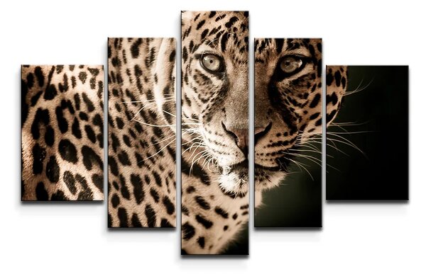 Sablio Obraz - 5-dílný Leopard - 125x90 cm