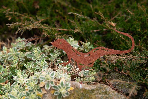 Záhradná dekorácia jašterica 23 x 15 cm, corten CORGARDEN 1046