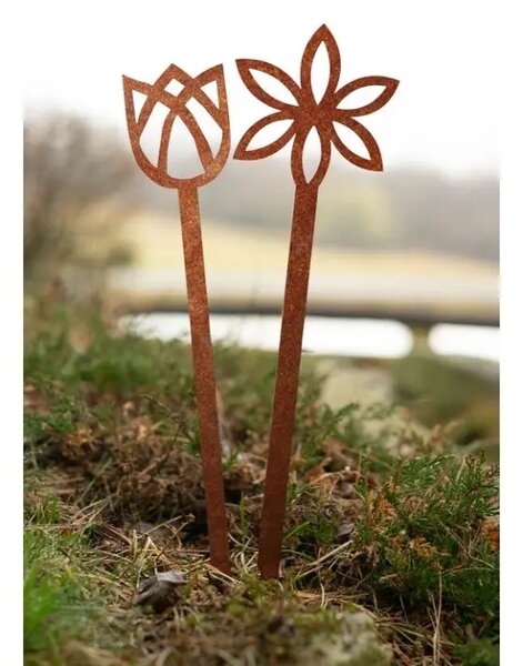 Záhradná dekorácia kvet 3, 68 x 16 cm, corten CORGARDEN 1056