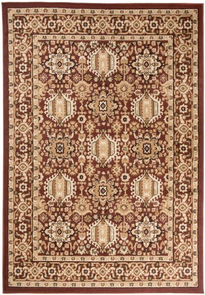 Kusový koberec PP Mosel hnedý 80x150cm