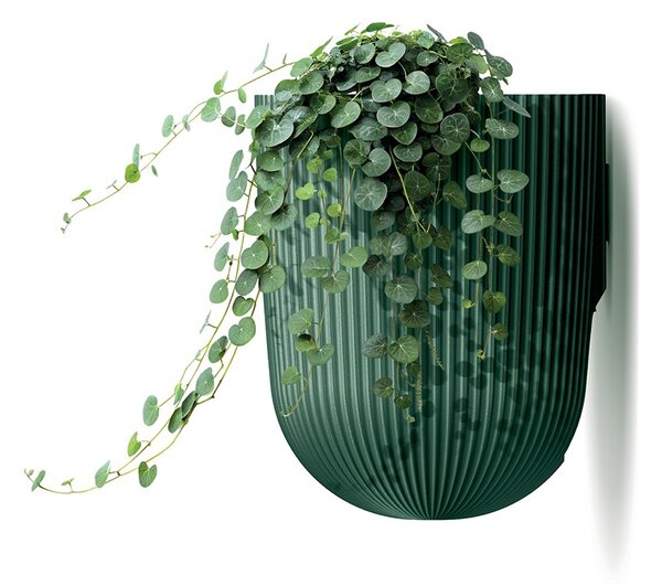 Prosperplast Nástěnný květináč MILLA WALL 14,6 cm tmavě zelený