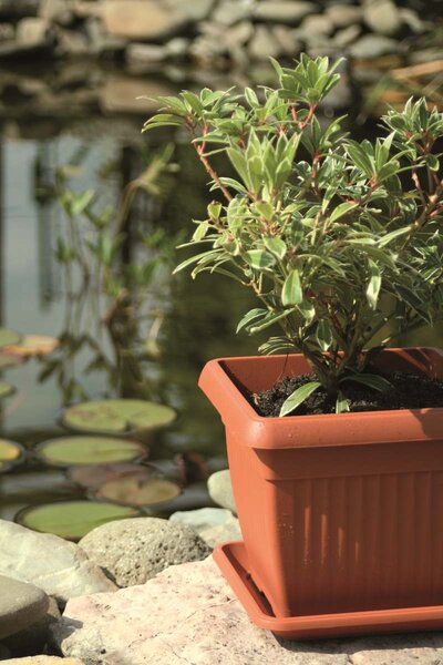Prosperplast Kvetináč Terra antracit, variant 15 cm