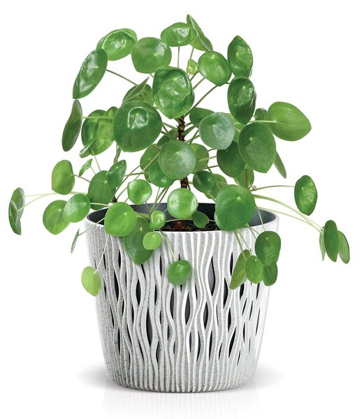 Prosperplast Kvetináč SCANDY ECO biely, variant 12,8 cm