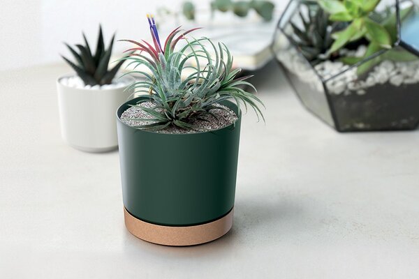 Prosperplast Kvetináč TUBOS PM s miskou tmavo zelený/hnedý, variant 14,8 cm