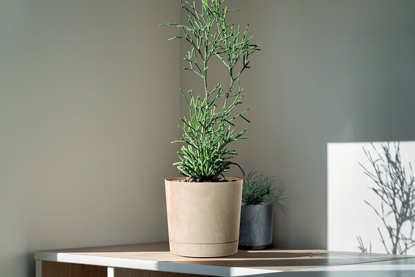 Prosperplast Kvetináč TUBOS P betónový efekt antracitová matná, variant 14,8 cm