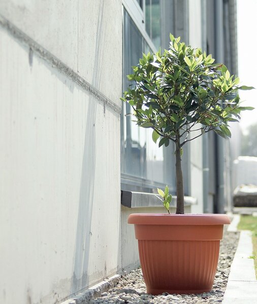 Prosperplast Kvetináč Terra I terakotový, variant 25 cm
