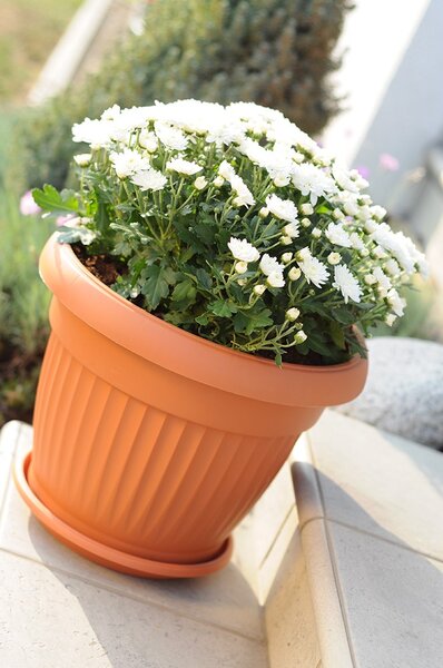 Prosperplast Kvetináč Terra I terakotový, variant 25 cm