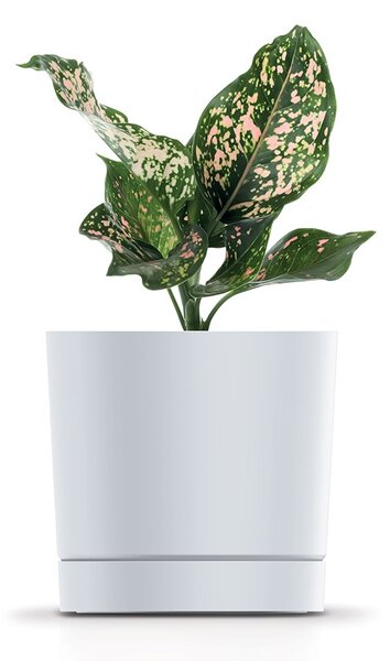 Prosperplast Plastový kvetináč TUBOS P s miskou odtieň marsala matný, variant 14,8 cm