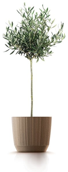 Prosperplast Kvetináč RYWO ECO biely, variant 19,5 cm