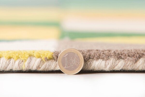 VLNENÝ KOBEREC, 230/60 cm zelená, viacfarebná Flair Rugs - Online Only bytové doplnky, Online Only