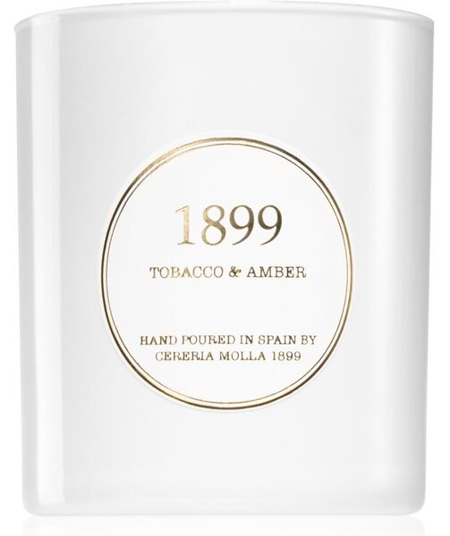 Cereria Mollá Gold Edition Tobacco & Amber vonná sviečka 230 g
