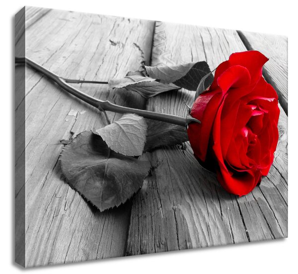 Gario Obraz na plátne Červená ruža Veľkosť: 40 x 30 cm