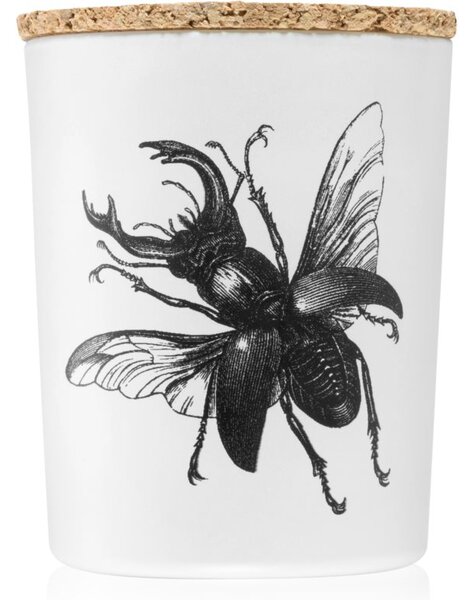 Vila Hermanos Insect Lucanus Cervus vonná sviečka 75 g