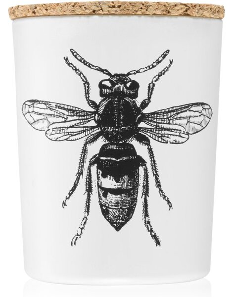 Vila Hermanos Insect Calabrone vonná sviečka 75 g