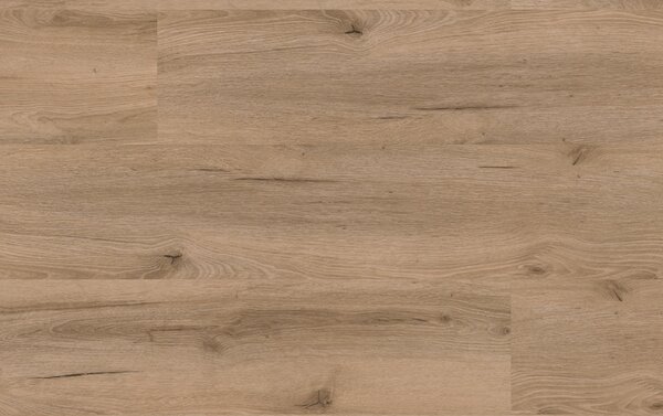 SolidDryback Authentic Dub Rustic 2020