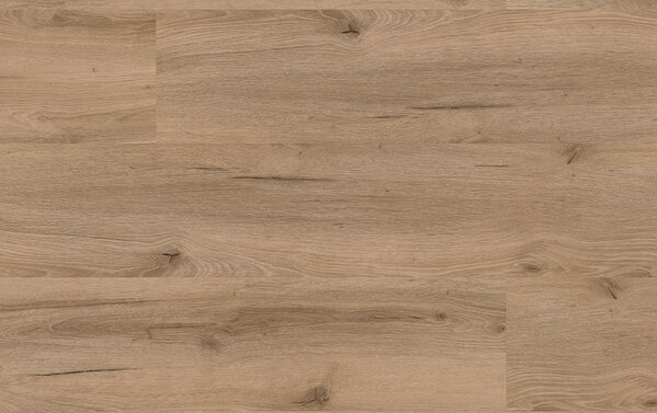 SolidDryback Authentic Dub Rustic 2020