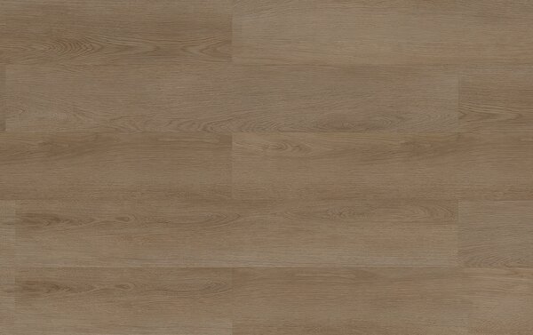 Area Floors Area Wood WD 210 CAMBRIDGE OAK 4+1 mm