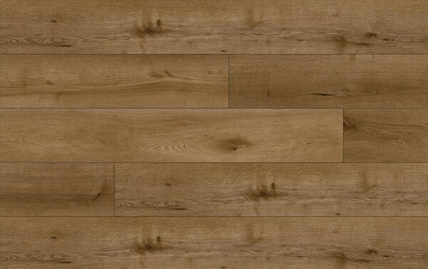 Area Floors Area Authentic 503 AMBER OAK 5+1,5 mm