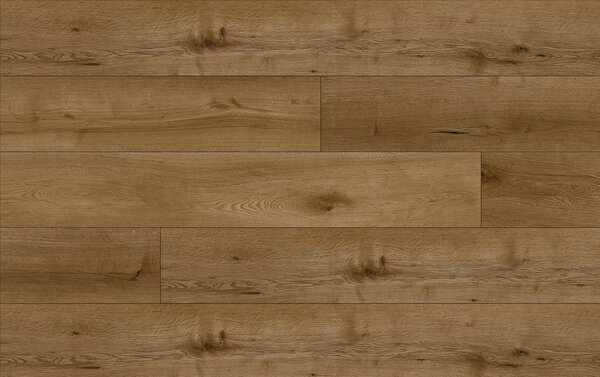 Area Floors Area Authentic 503 AMBER OAK 5+1,5 mm