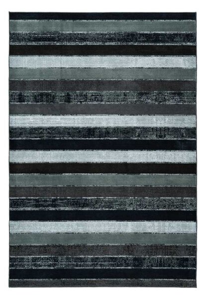 Lalee Kusový koberec Greta Pet 804 Rozmer koberca: 80 x 150 cm