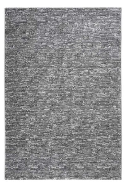 Lalee Kusový koberec Palma 500 Silver Rozmer koberca: 80 x 150 cm