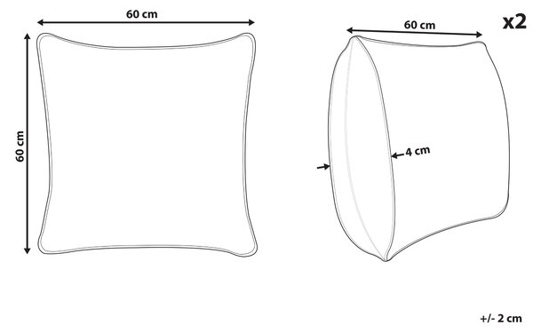 Sada 2 dekoratívnych vankúšov béžová s motívom vtáka 60 x 60 cm s potlačou minimalistický moderný dizajn dekorácie doplnky