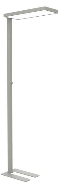 Stojaca lampa LED MAULjura, strieborná farba, hliník, 196,5 cm, Chrómová / strieborná, Pracovňa / Kancelária, Hliník, Moderný