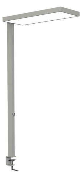 LED svietidlo MAULjura, strieborná farba, stmievateľné, 100 cm, Chrómová / strieborná, Pracovňa / Kancelária, Hliník, Moderný
