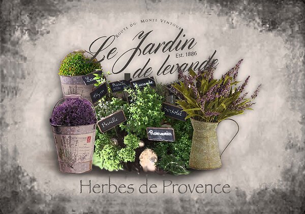 Ceduľa Levanduľa - Herbs de Provence - vintage 30cm x 20cm Plechová tabuľa