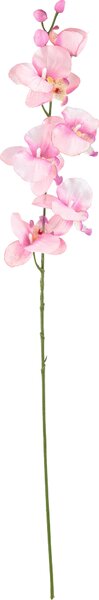 UMELÝ KVET orchidea 72 cm - Kvety & kvetináče