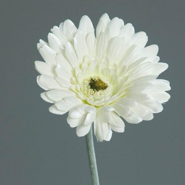 UMELÝ KVET gerbera 56 cm - Kvety & kvetináče