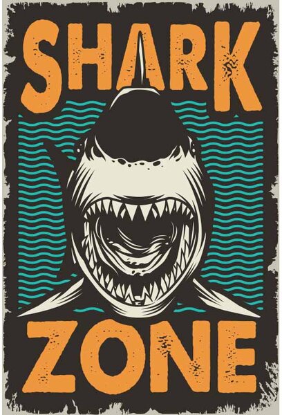 Ceduľa Shark Zone - Vintage style 30cm x 20cm Plechová tabuľa