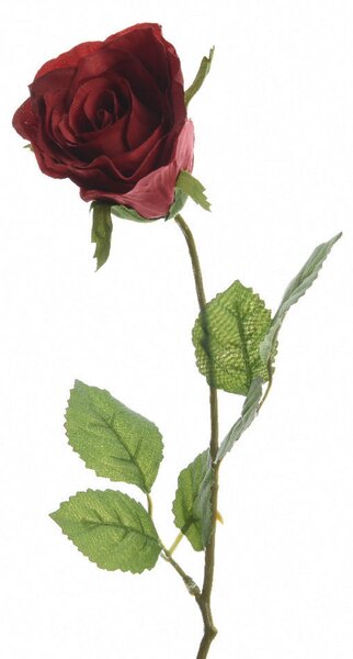 RUŽA 45 cm - Kvety & kvetináče