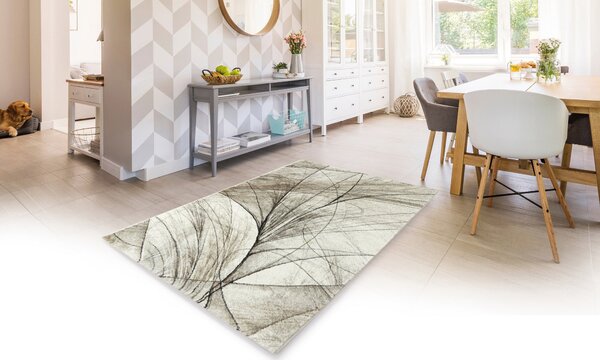 Medipa (Merinos), Kusový koberec Diamond 24153/760, 80x150, hnedá, kancelária