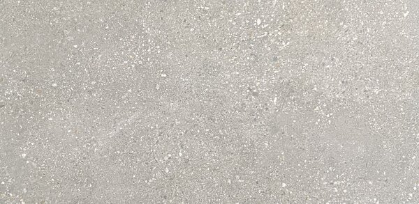 Neptun Grey 30x60