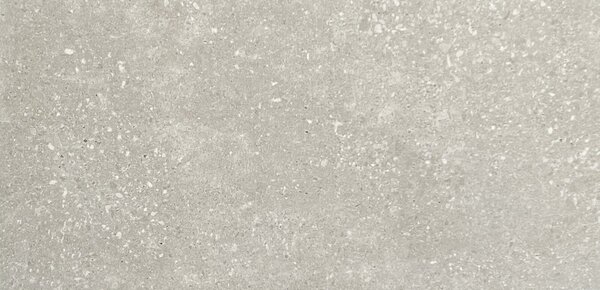 Neptun Taupe 30x60