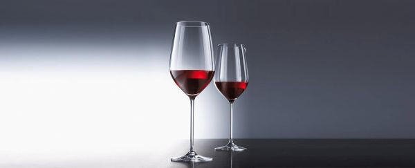 POHÁR NA ČERVENÉ VÍNO Schott Zwiesel - Poháre na víno
