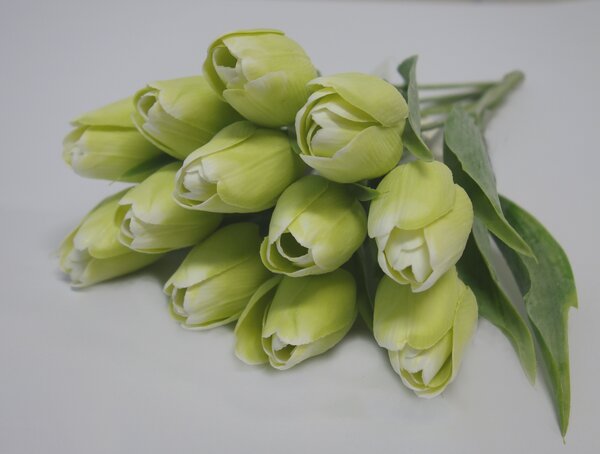 Tulipán umelý zelený jemne bielený 43cm cena za 1ks
