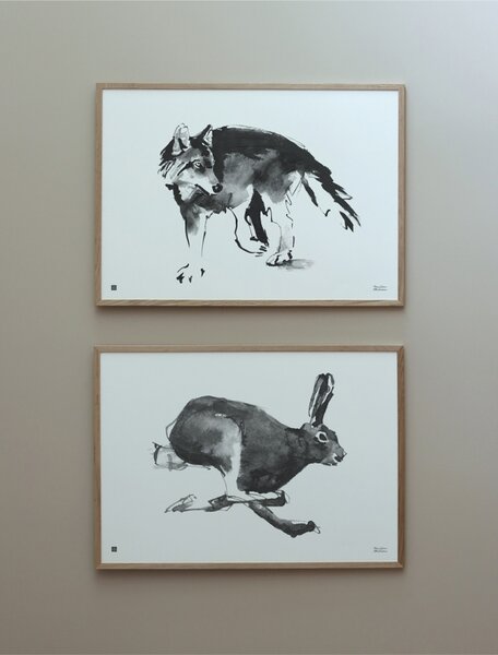 Teemu Järvi Plagát Mountain Hare 70x50